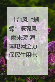 台风“蝴蝶”携强风雨来袭 海南电网全力保民生用电